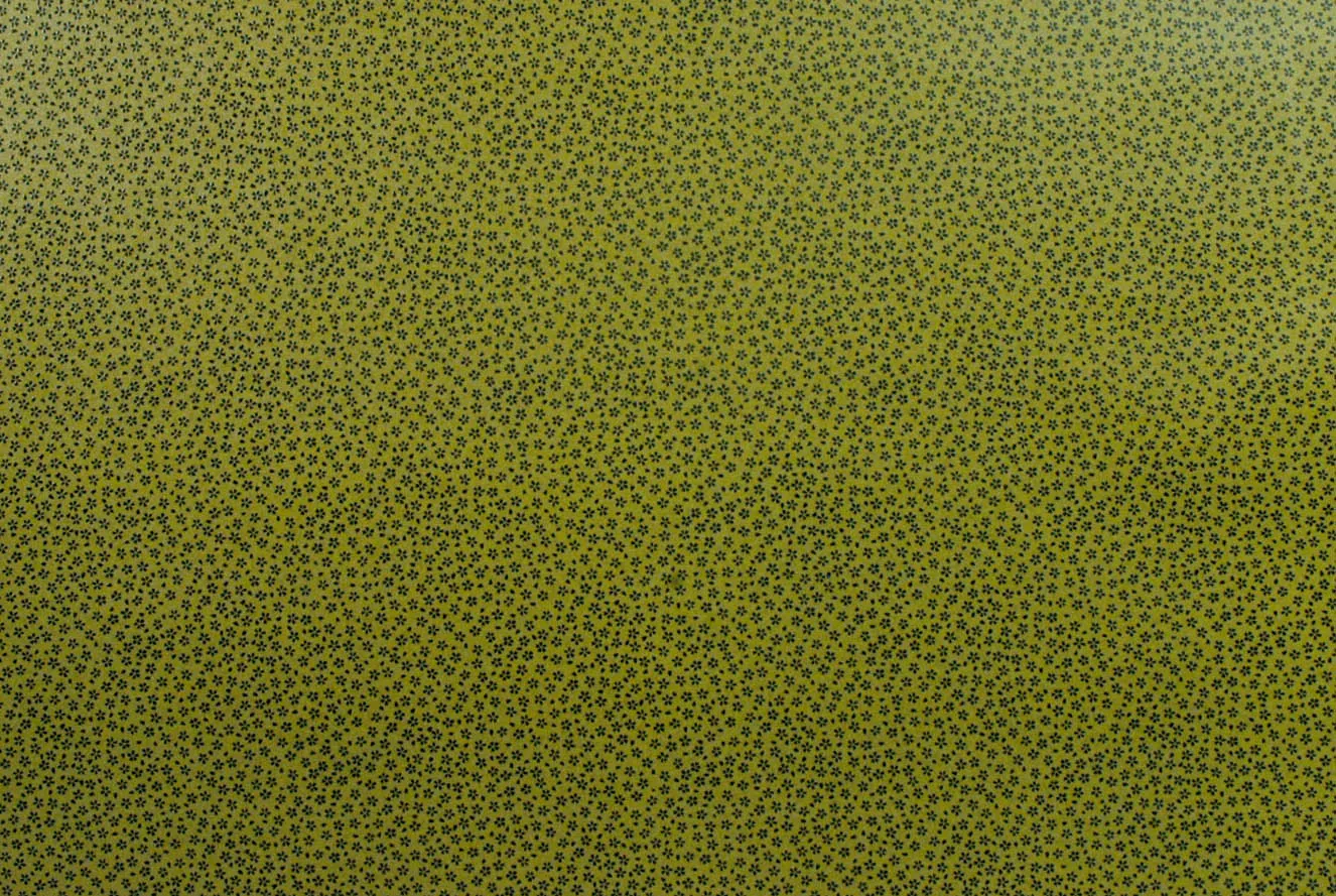 Chiyogami Lacquered Sakura Green